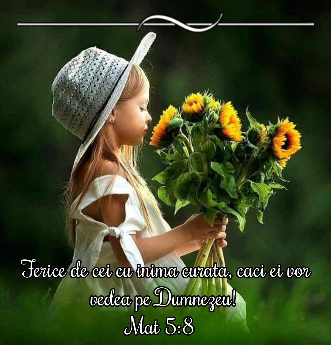 Album versete biblice 5